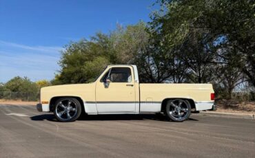 Chevrolet-C10-swb-1980-2