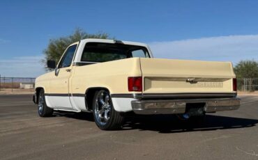 Chevrolet-C10-swb-1980-3