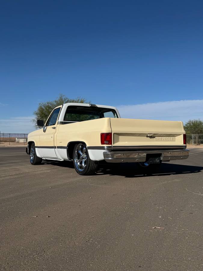 Chevrolet-C10-swb-1980-3