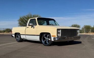 Chevrolet-C10-swb-1980