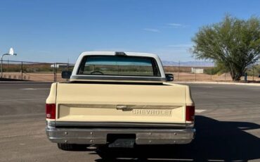 Chevrolet-C10-swb-1980-4