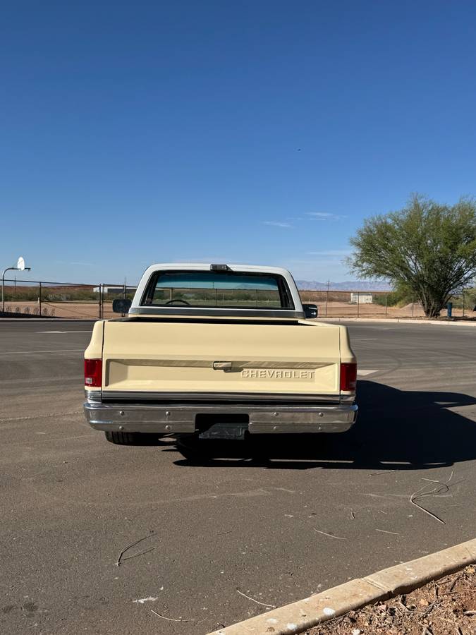 Chevrolet-C10-swb-1980-4