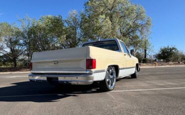 Chevrolet-C10-swb-1980-5