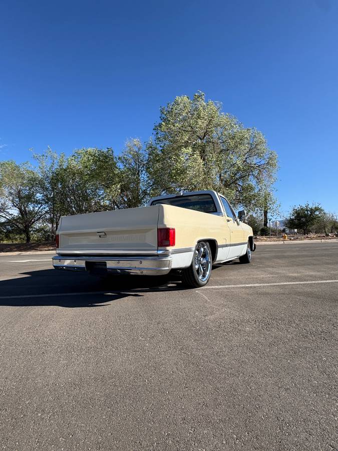 Chevrolet-C10-swb-1980-5