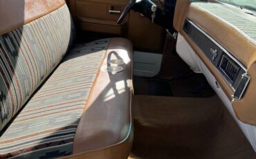 Chevrolet-C10-swb-1980-7