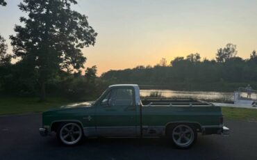 Chevrolet-C10-truck-1981-1