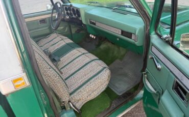 Chevrolet-C10-truck-1981-11