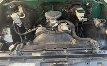 Chevrolet-C10-truck-1981-12