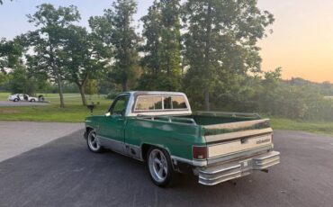 Chevrolet-C10-truck-1981-2