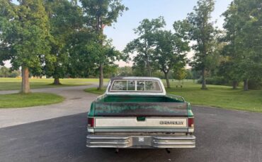 Chevrolet-C10-truck-1981-3
