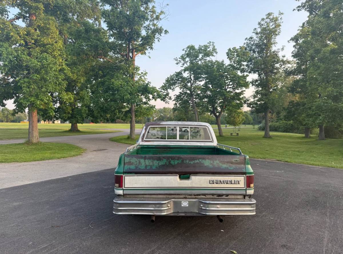 Chevrolet-C10-truck-1981-3
