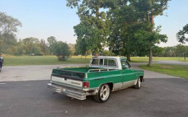Chevrolet-C10-truck-1981-4