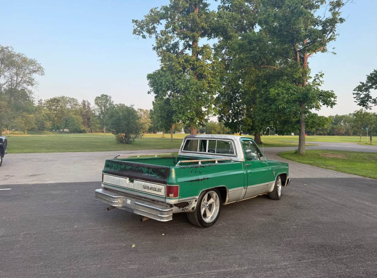 Chevrolet-C10-truck-1981-4