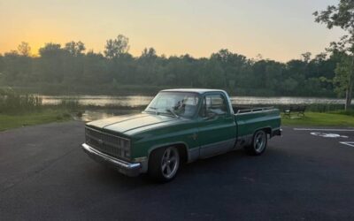 Chevrolet C10 truck  1981