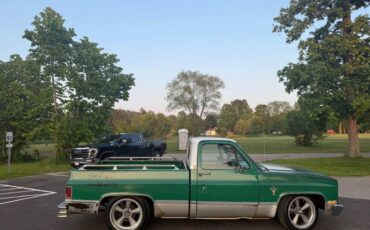 Chevrolet-C10-truck-1981-5