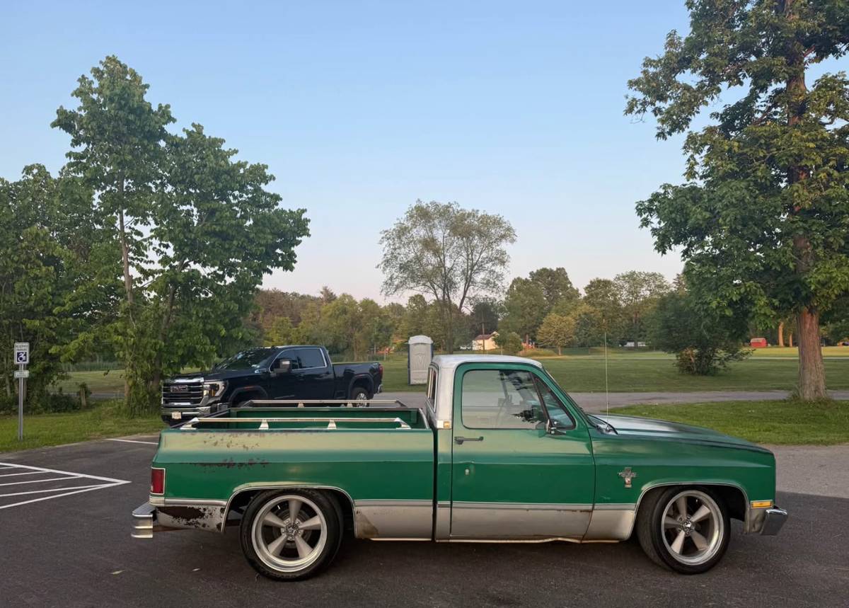 Chevrolet-C10-truck-1981-5