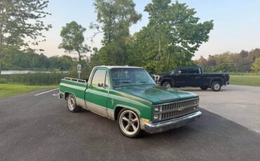 Chevrolet-C10-truck-1981-6