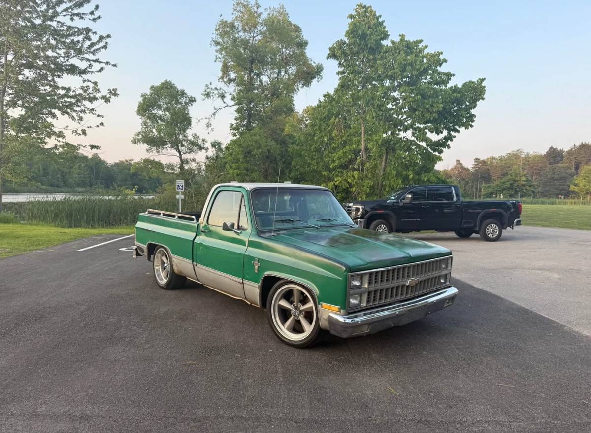 Chevrolet-C10-truck-1981-6