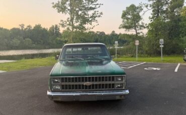 Chevrolet-C10-truck-1981-7