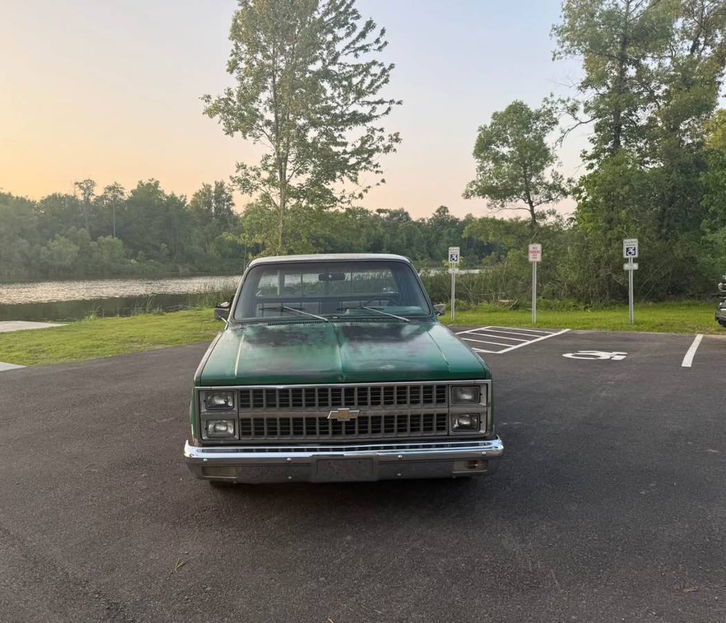 Chevrolet-C10-truck-1981-7