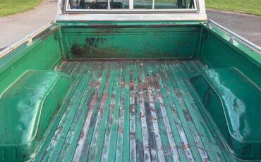 Chevrolet-C10-truck-1981-8