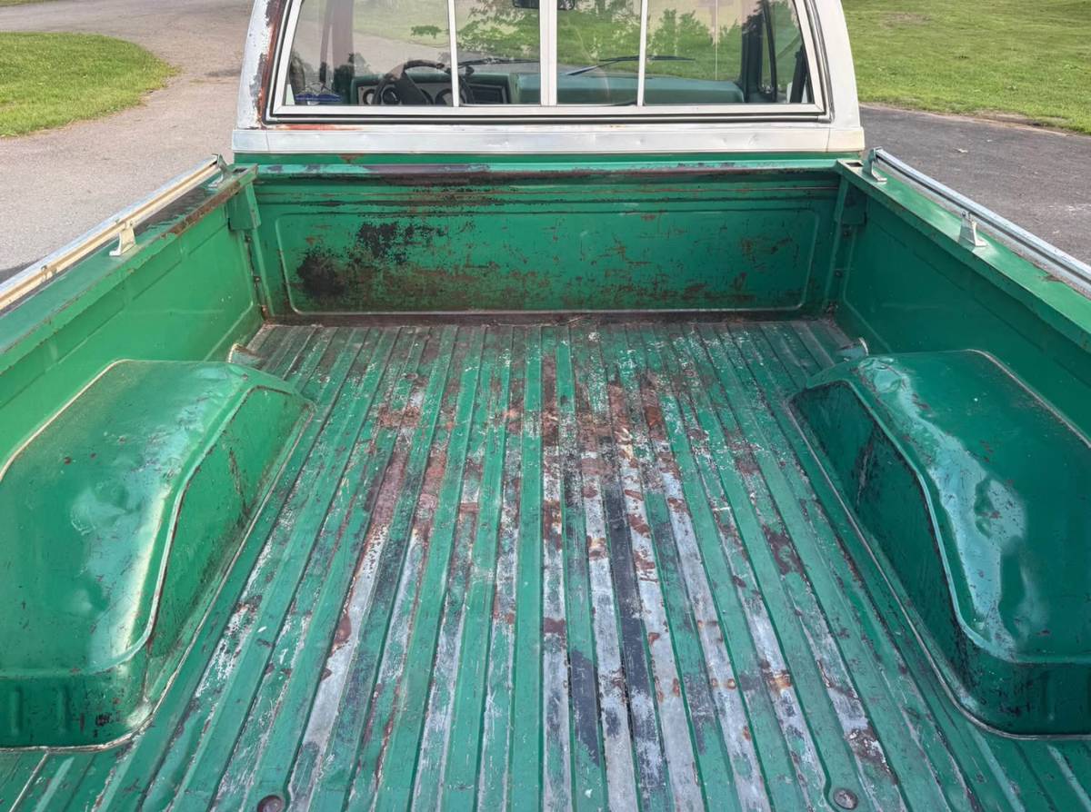 Chevrolet-C10-truck-1981-8