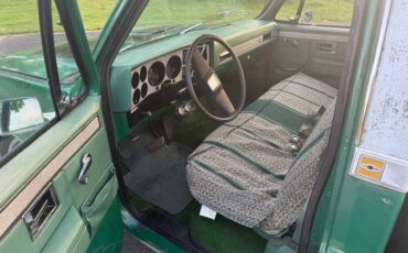 Chevrolet-C10-truck-1981-9