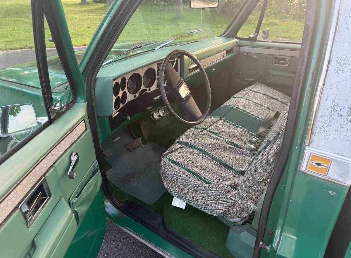 Chevrolet-C10-truck-1981-9