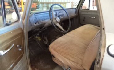 Chevrolet-C20-1966-grey-13