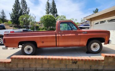 Chevrolet-C20-1978-1