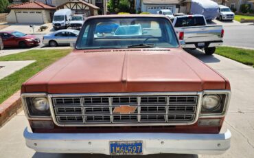 Chevrolet-C20-1978-2