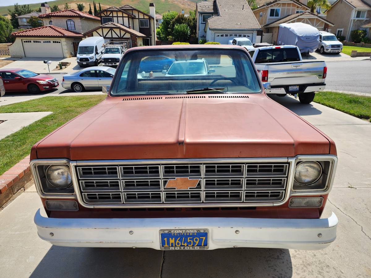 Chevrolet-C20-1978-2