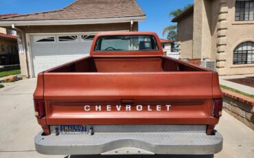 Chevrolet-C20-1978-3