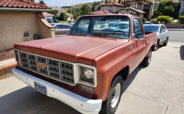 Chevrolet-C20-1978-5