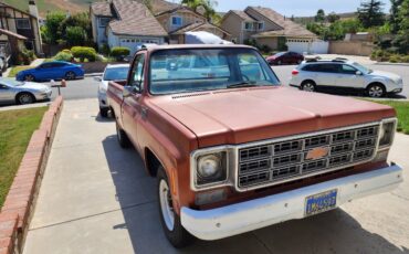 Chevrolet-C20-1978-6