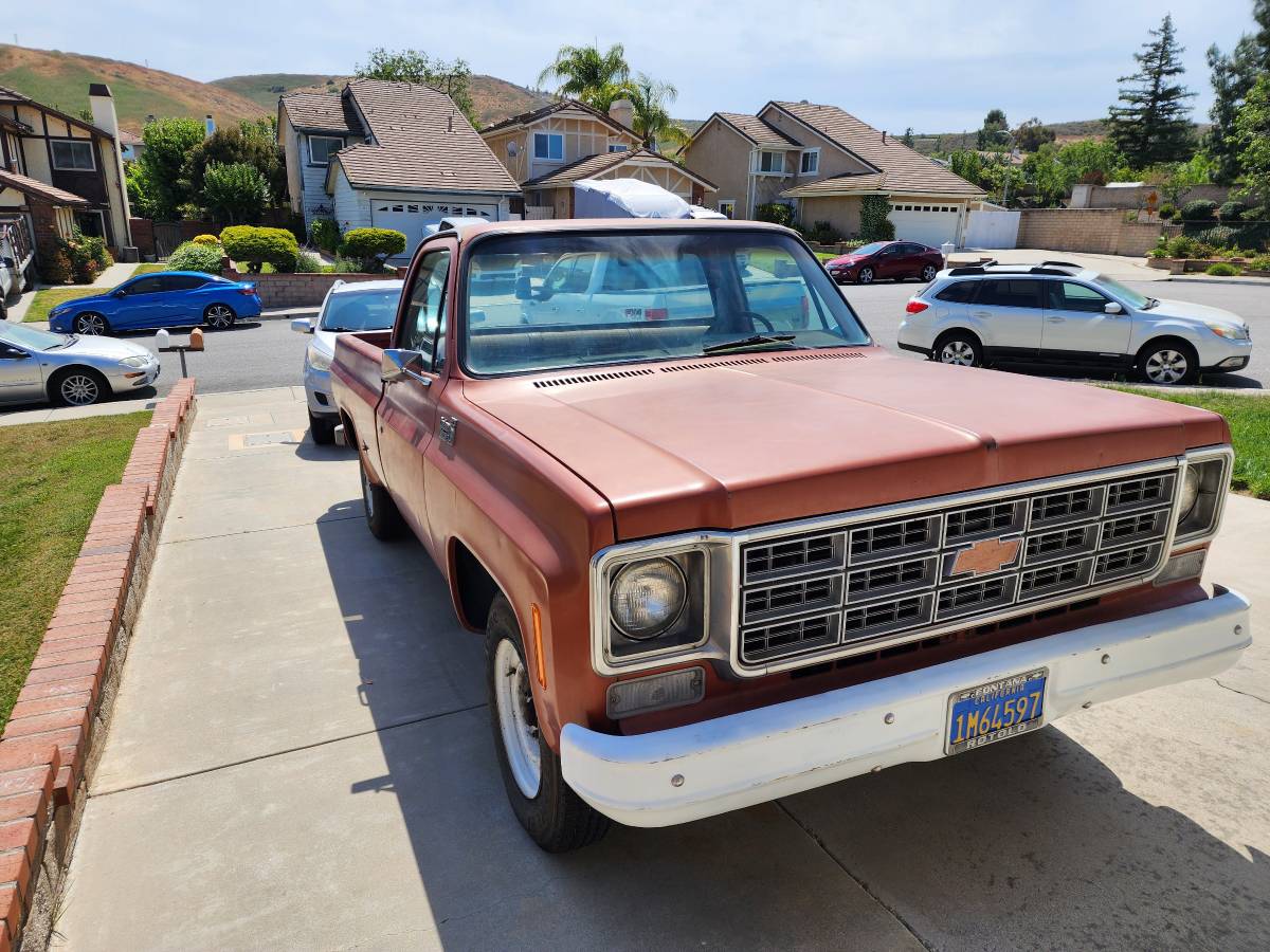 Chevrolet-C20-1978-6
