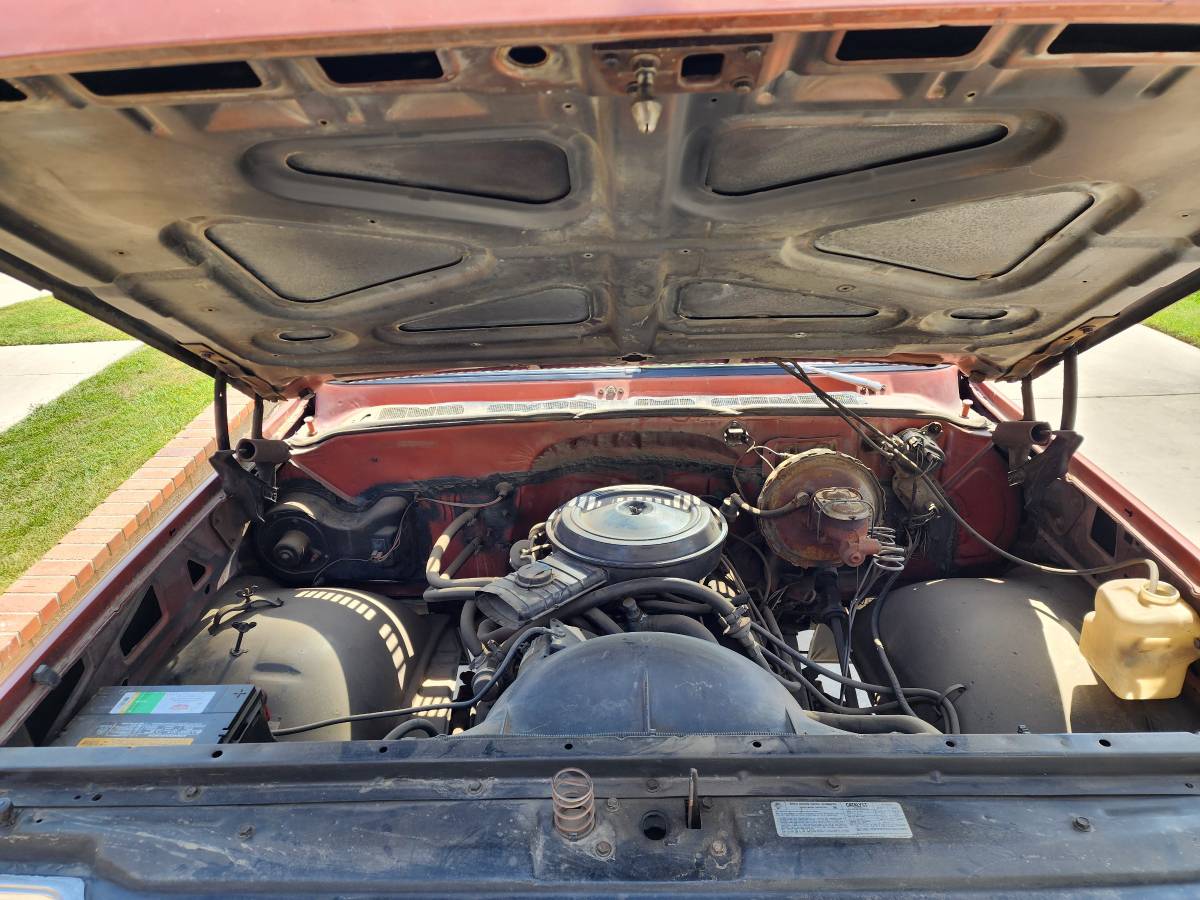 Chevrolet-C20-1978-7