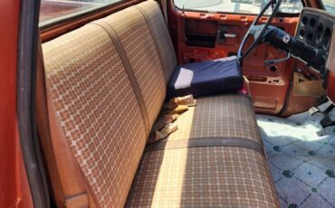 Chevrolet-C20-1978-9