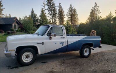 Chevrolet C20 1984