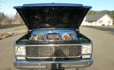 Chevrolet-C20-pickup-1976-blue-1
