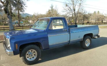 Chevrolet-C20-pickup-1976-blue-5