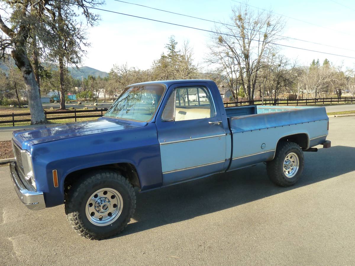 Chevrolet-C20-pickup-1976-blue-5