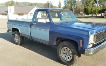 Chevrolet-C20-pickup-1976-blue-6