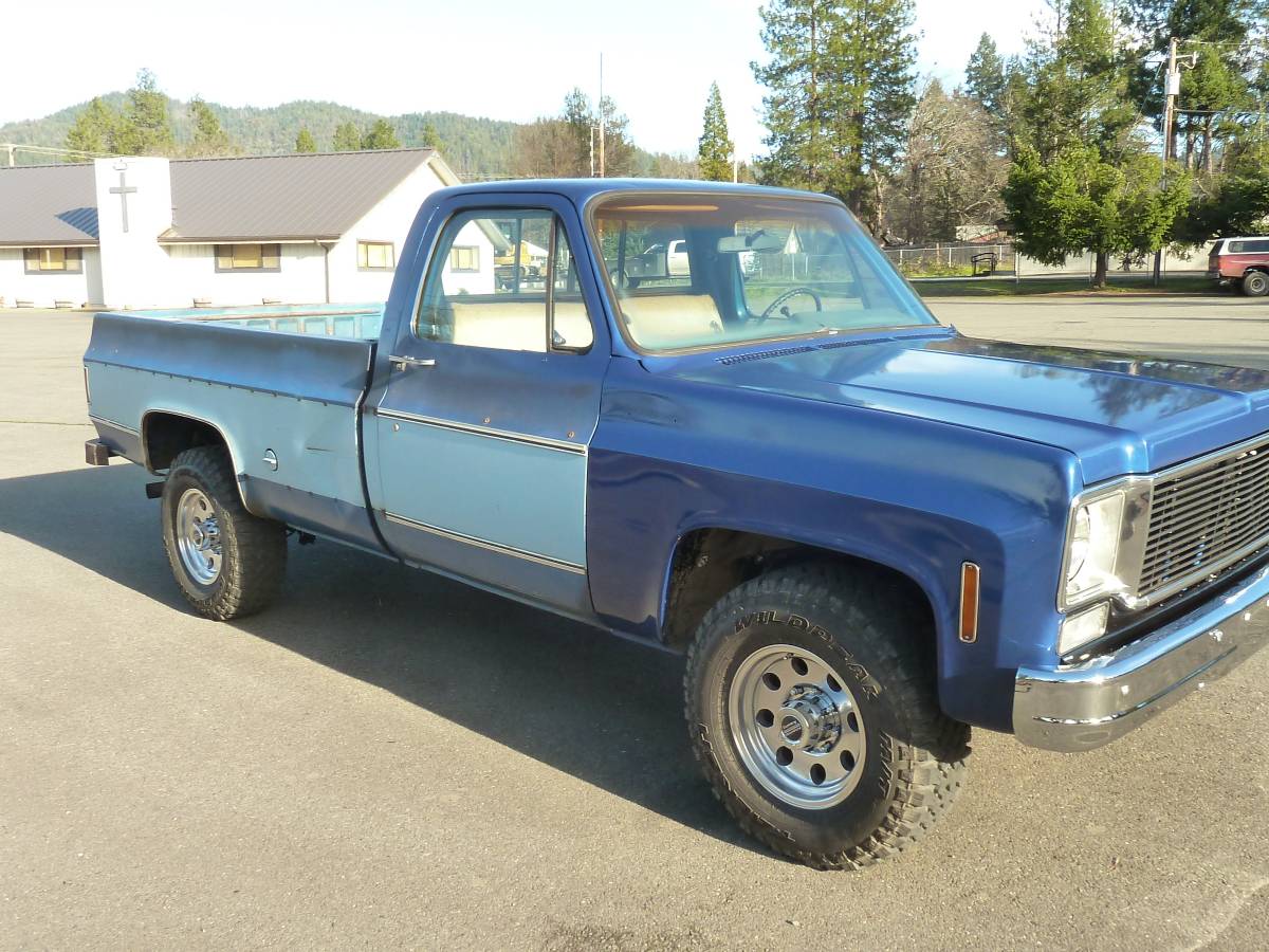 Chevrolet-C20-pickup-1976-blue-6