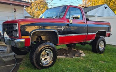 Chevrolet-CK-Pickup-1500-1984-Standard-Cab-Pickup