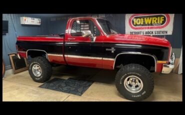 Chevrolet-CK-Pickup-1500-1984-Standard-Cab-Pickup-4