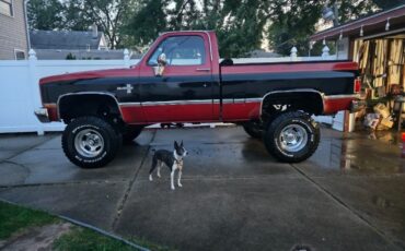 Chevrolet-CK-Pickup-1500-1984-Standard-Cab-Pickup-6