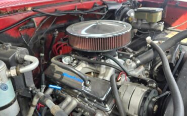 Chevrolet-CK-Pickup-1500-1984-Standard-Cab-Pickup-8