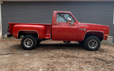 Chevrolet-CK-Pickup-1500-1985-3