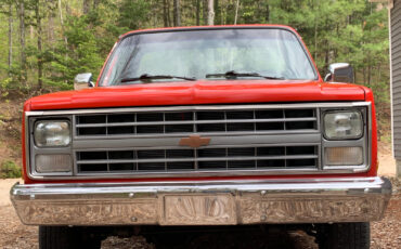 Chevrolet-CK-Pickup-1500-1985-4